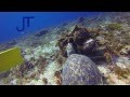 Diving - Paso del Cedral - Cozumel, Mexico