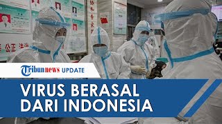 Kenali Gejala Virus G4 yang Disebut Mirip Flu Babi