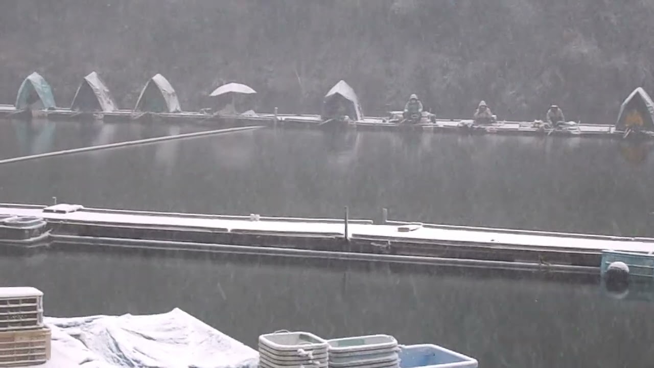 昨日、雪の中！