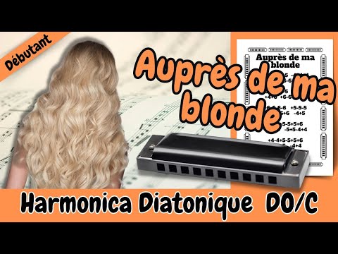 💕 Apprenez à jouer Salut de Joe Dassin à l'harmonica diatonique Do -  Débutant 