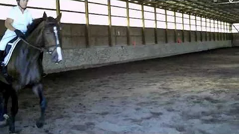 Sequoia. Pamela Bartholomew riding at New Covert F...
