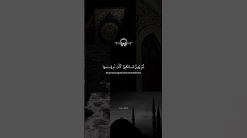 يسمع آيات الله تتلى عليه | القارئ ياسر الدوسري ارح سمعك ♡ .