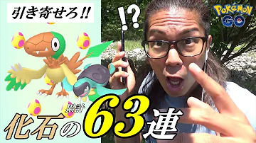 ポケモン色違いgo Mp3
