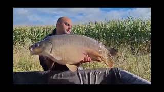 BV CARP FAMILY CHRISTOPHER GOURDIN 