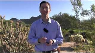 Avoid The 3 Fatal Land Buying Mistakes