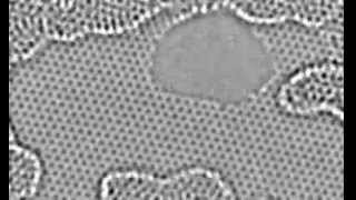 Atoms in Action