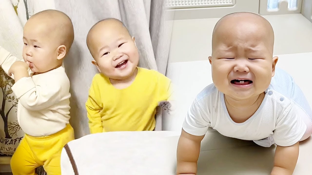 【超萌双胞胎】哥俩说动手就动手，根本拦不住啊!【西西和柚柚呀】