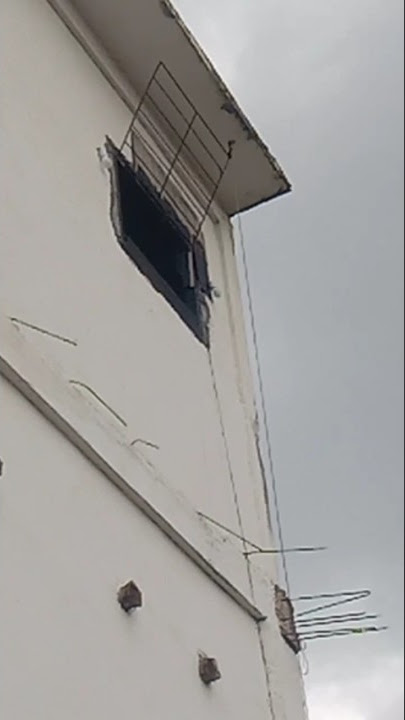 burung walet kiss kiss tweeter LMB di siang bolong,, mantaapp!!👍😂😂