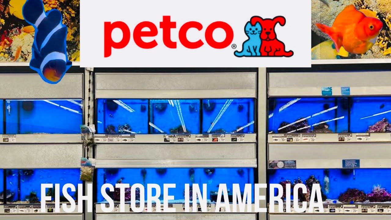 Yeh Kaisa Pet Hai Bhai !Pets Rakhne Ke Bhi Rules Hai America Mein.fish