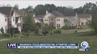 Brunswick Hills police warn of possible child luring after 11-yr-old girl files report