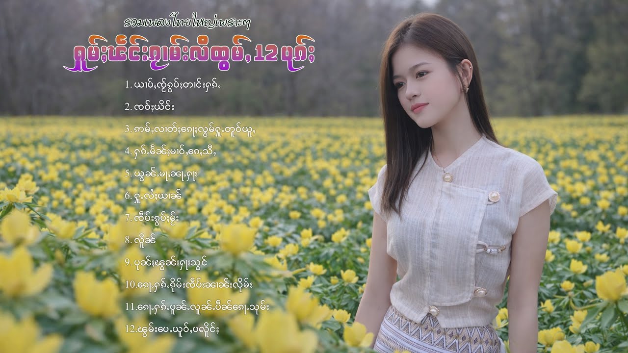 เพลงไทยใหญ่เพราะๆ | ႁူမ်ႈၽဵင်းၵႂၢမ်းလီထွမ်ႇ 12 ပုၵ်ႈ