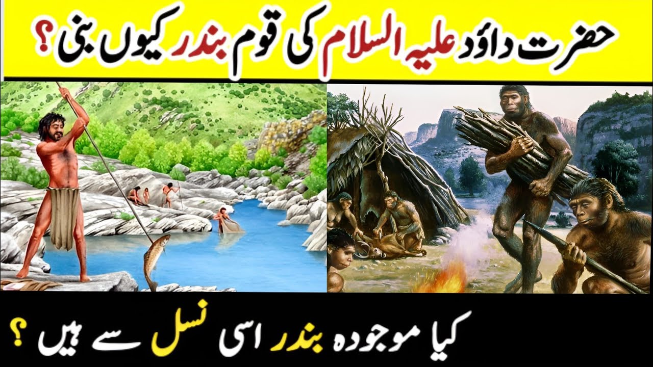 Why Did Prophet Dawood (A.S) Koum Became Monkey? | حضرت داؤد کی قوم بندر کیوں بنی ؟