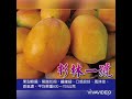 關於水蜜桃芒果-水蜜桃，西施，農民黨，杉林一號，紅龍