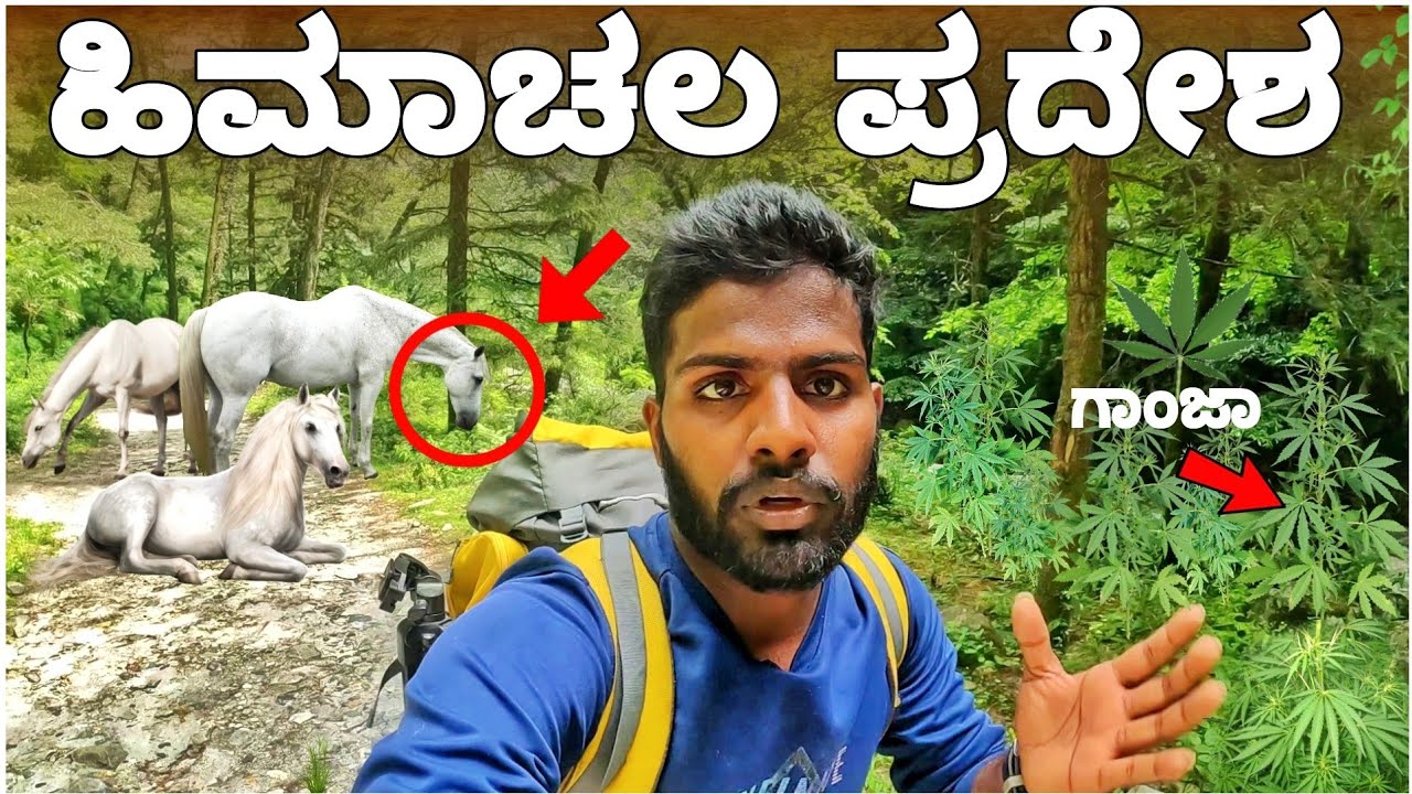 Trekking ⛰️ to himachal remote village grahan  | ಕಾಡಲ್ಲಿ ಗಾಂಜ ತೋಟ ನೋಡ್ದೆ |  kasol | Ep : 3