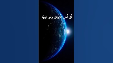 قل لمن الارض ومن فيها ان كنتم تعلمون سيقولون لله قل افلا تذكرون | سورة المؤمنون | ياسر الدوسري