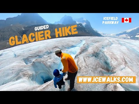 Guided Glacier Hike in Jasper National Park | Best Experience on the Icefield Parkway