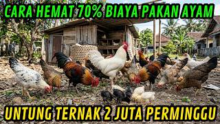 CRAZY! Raising Chickens Without Buying Feed, Earning Millions Every Week!