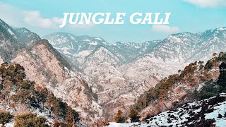 Jungle Gali (A cinematic Travel Film)