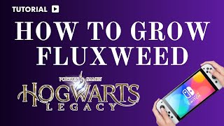 How to Grow Fluxweed in Hogwarts Legacy: Step-by-Step Guide