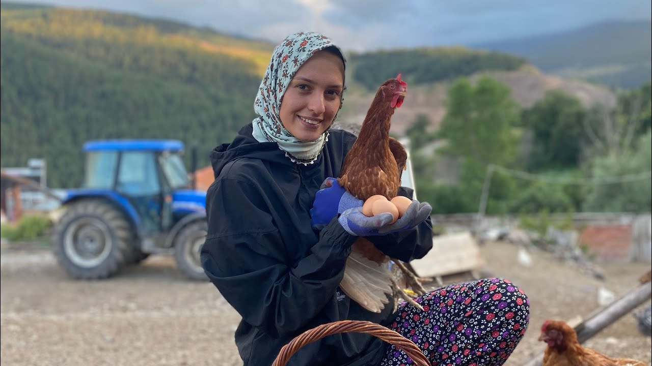 100 TANE TAVUK ALDIK🐥ATLARIN AHIRINI TEMİZLEDİM💩🐎🧹