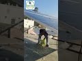 Green Tech Solar Service Provider.