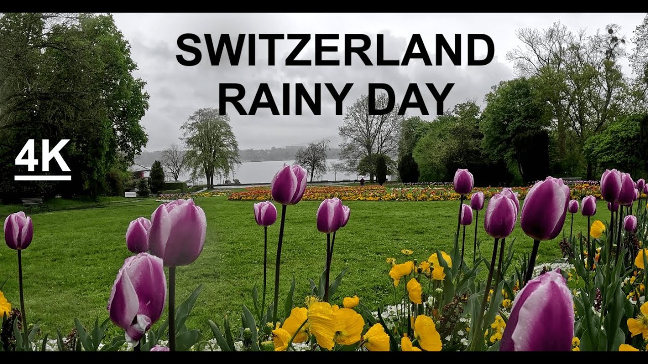 Walking in the Rain in Switzerland | 4K Geneva Walking tour in Rainy day Near the Lake
