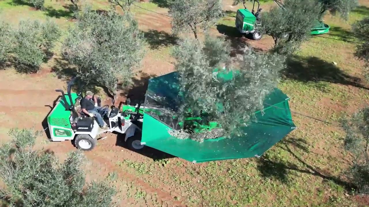 DE MASI - Scuotitore MM 20 con Ombrello