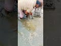 soil filling #youtubeshortvideoper fectlysoilfilling  #construction #buildingwork #assamtezpur