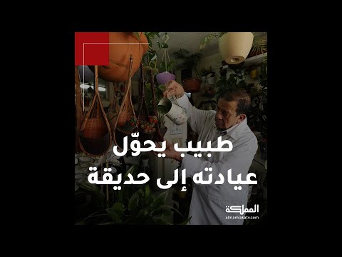 طبيب أردني مولع بالنباتات يعتني بالمئات منها في عيادته الصغيرة