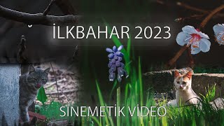 İlkbahar 2023 Sinematik Videomini Vlog