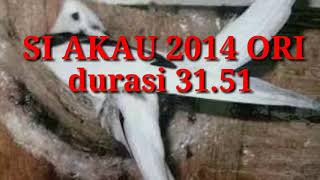 AKAU 2014 ORIGINAL. SUARA BURUNG WALET INAP