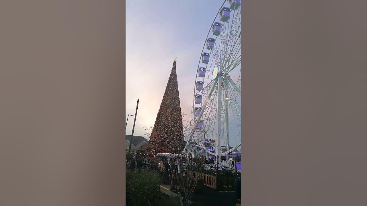 Cheshire oaks Christmas tree YouTube