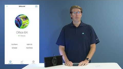 AI Light: Using the Effects