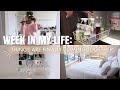 WEEKLY VLOG: Things Are Finally Coming Together, New Bed + More Organizing