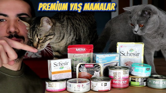 Kedi Yas Mamasi Karsilastirmasi Whiskas Felix Friskies Hill S Bonnie Ve Bestpets Kiyaslama Youtube