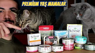 Premium Yas Kedi Mamalari Kiyaslamasi En Iyi Kedi Mamalari Youtube