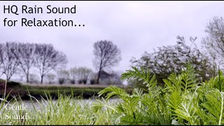 🌦️6 Hour Soft Rain Sound for  Relaxation, Study and Sleep |HQ| No thunder |after 1 hour Blackscreen screenshot 3