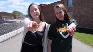 LipDub