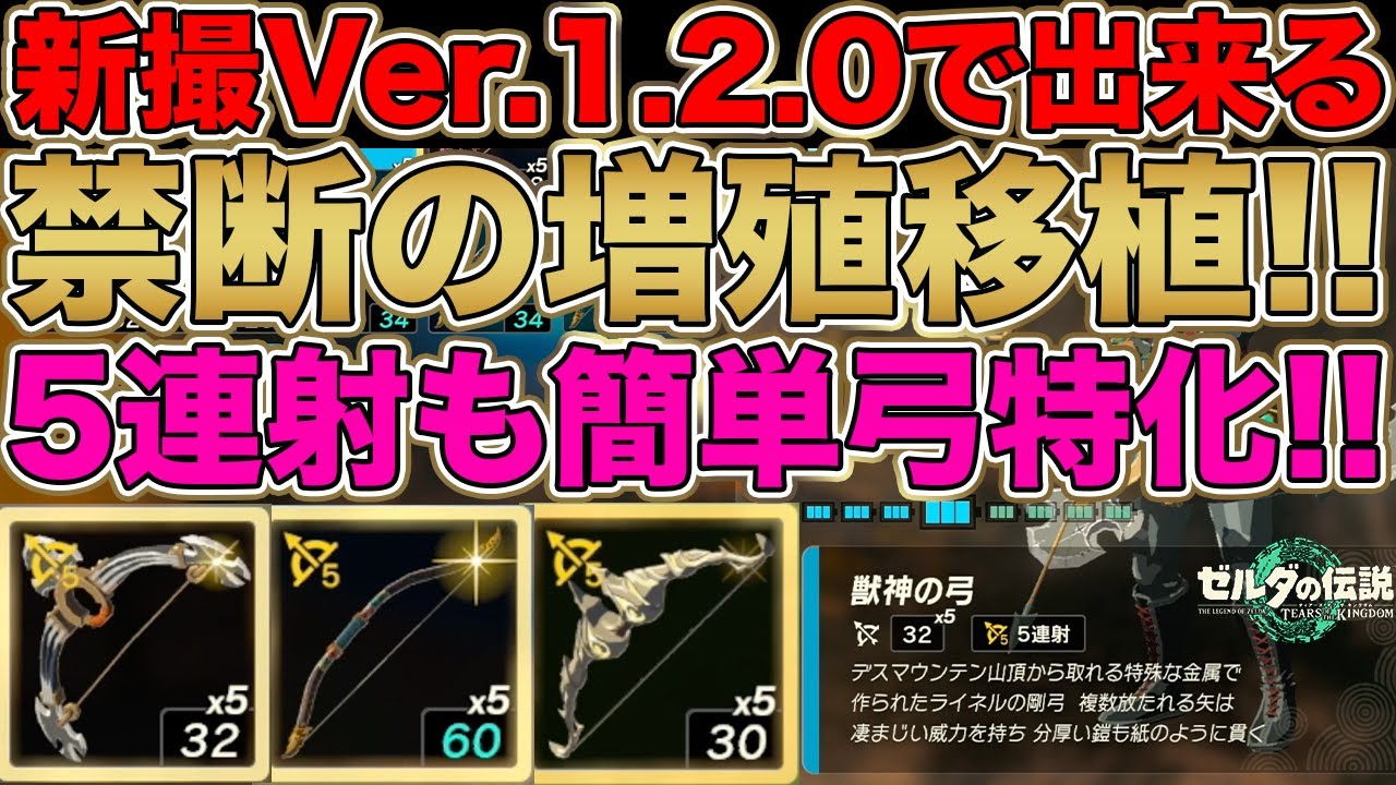ティアキン】新撮Ver.1.2.0の弓増殖移植バグ技!!最強5連射も簡単!!成功 