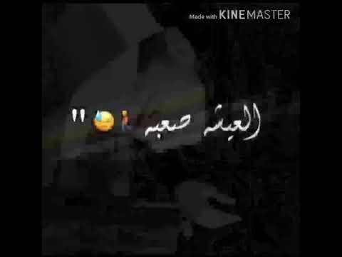 شغل كاسيت يلا نيسط