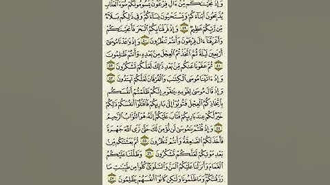 سورة البقرة الوجه ٧ . وإذ نجيناكم من آل فرعون يسومونكم سوء العذاب . الشيخ ماهر المعيقلي