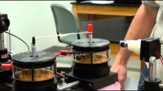 Self-oscillation