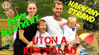 Pécsi Állatkert - Harkányi Strand VLOG - Úton a KisCsalád