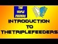 Introduction to premium pictures network  thetriplefeeders  2