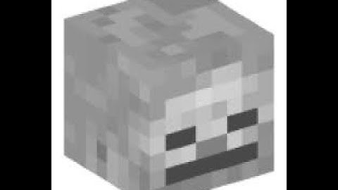 Hypixel Skyblock Glitched Item (Skeleton Skull)