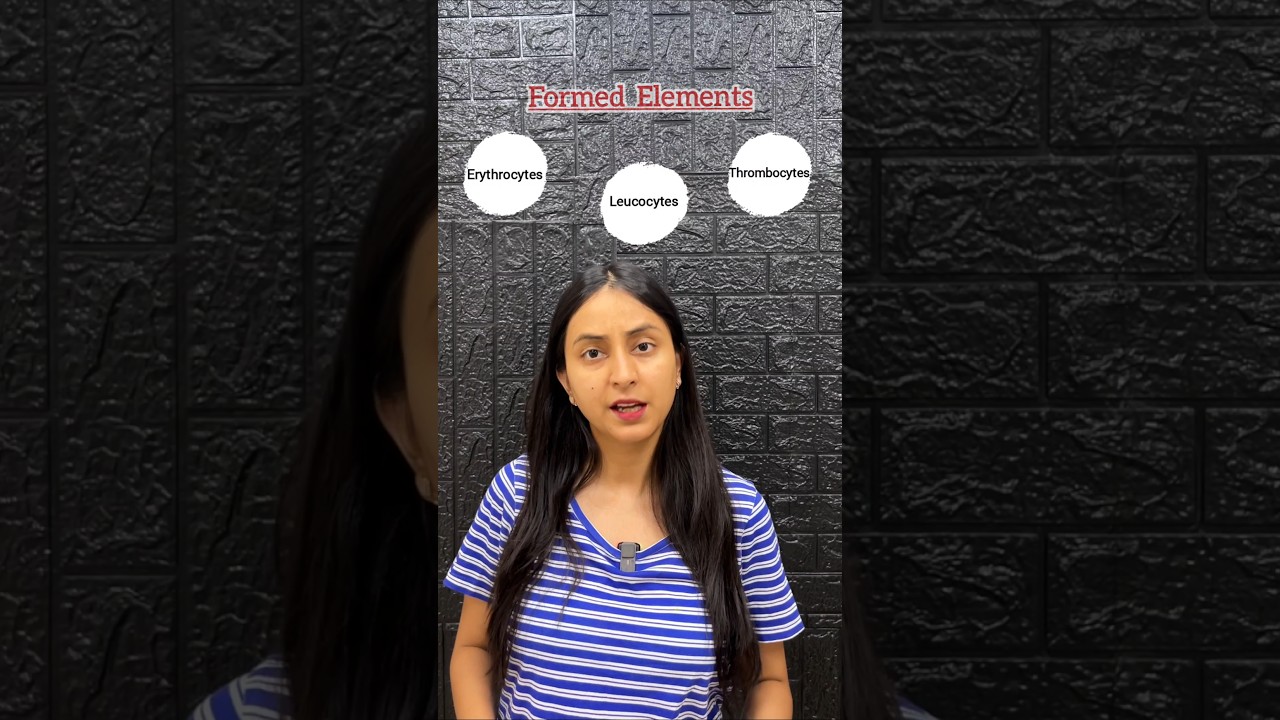 Formed Elements of Blood | RBCs, WBCs & Platelets 