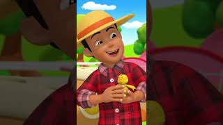 Gidan Gonar Old Macdonald