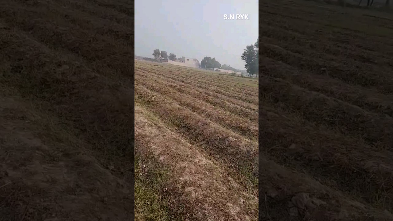 PUNJAB 