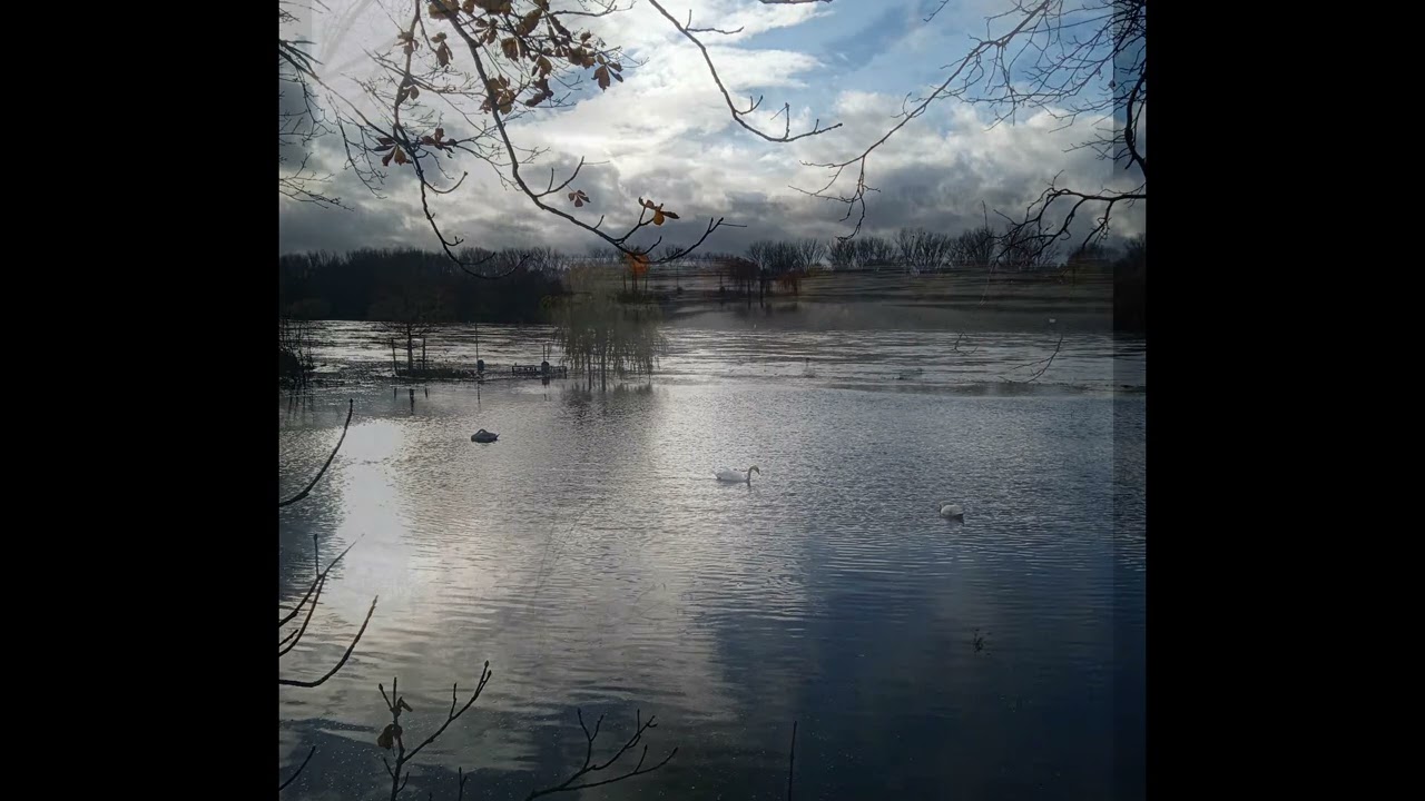 The Light In The Darkness