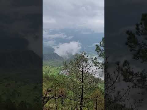 #Uttrakhand Nainital #Ranikhet ka pahadi ilaka #short video#
